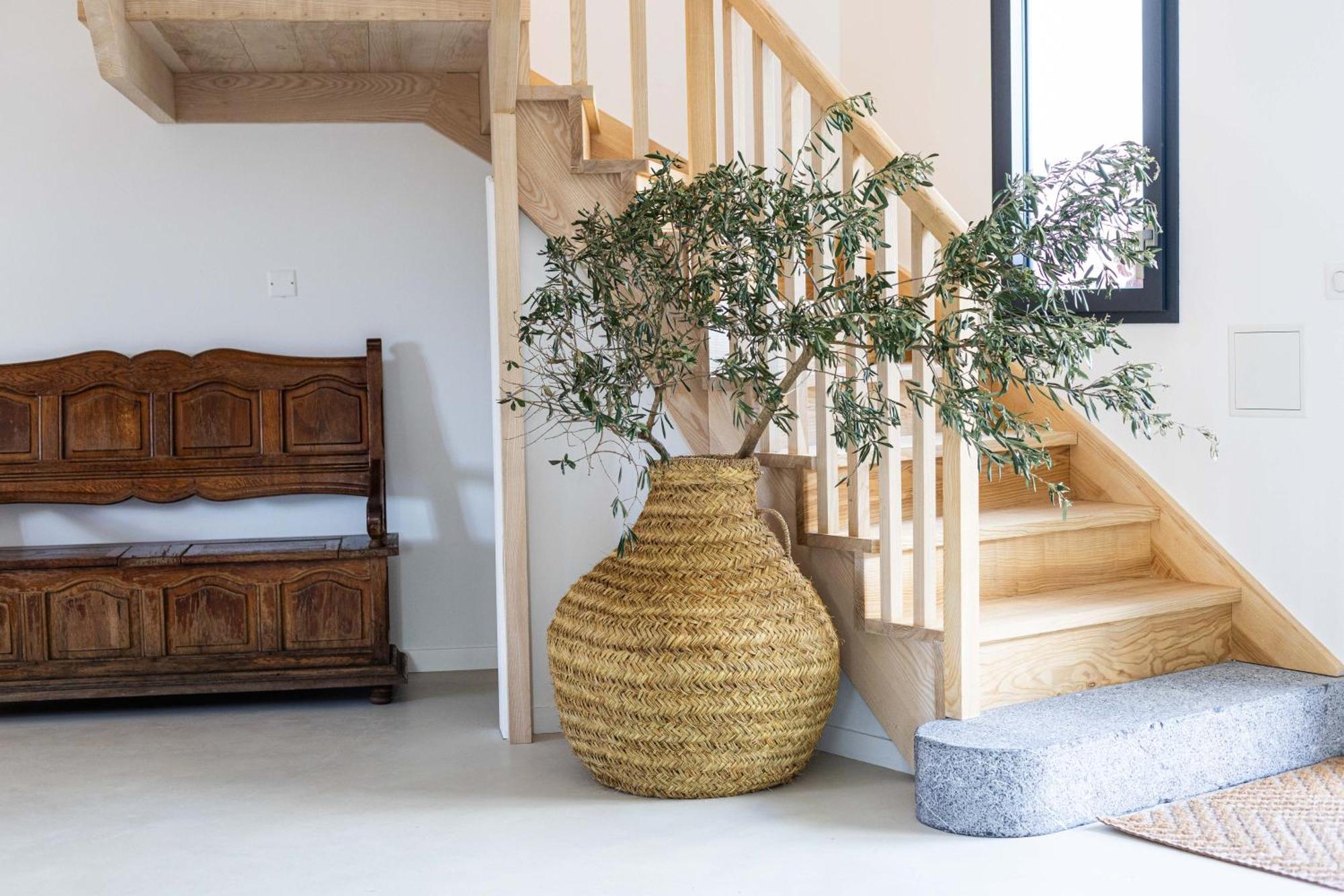 Biarritz Surf Lodge Chambre D'Hotes Dış mekan fotoğraf